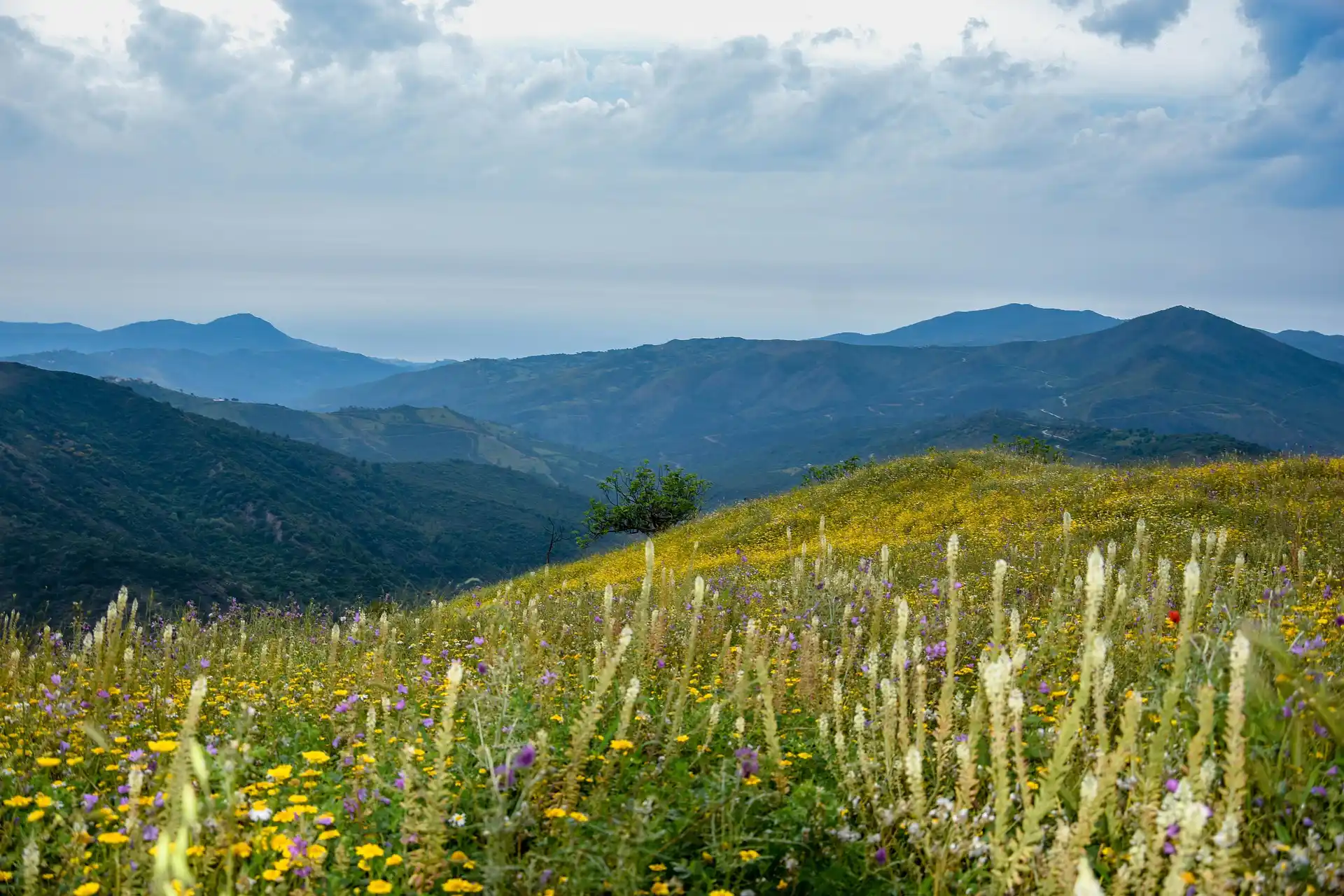 Kabylie, Algérie