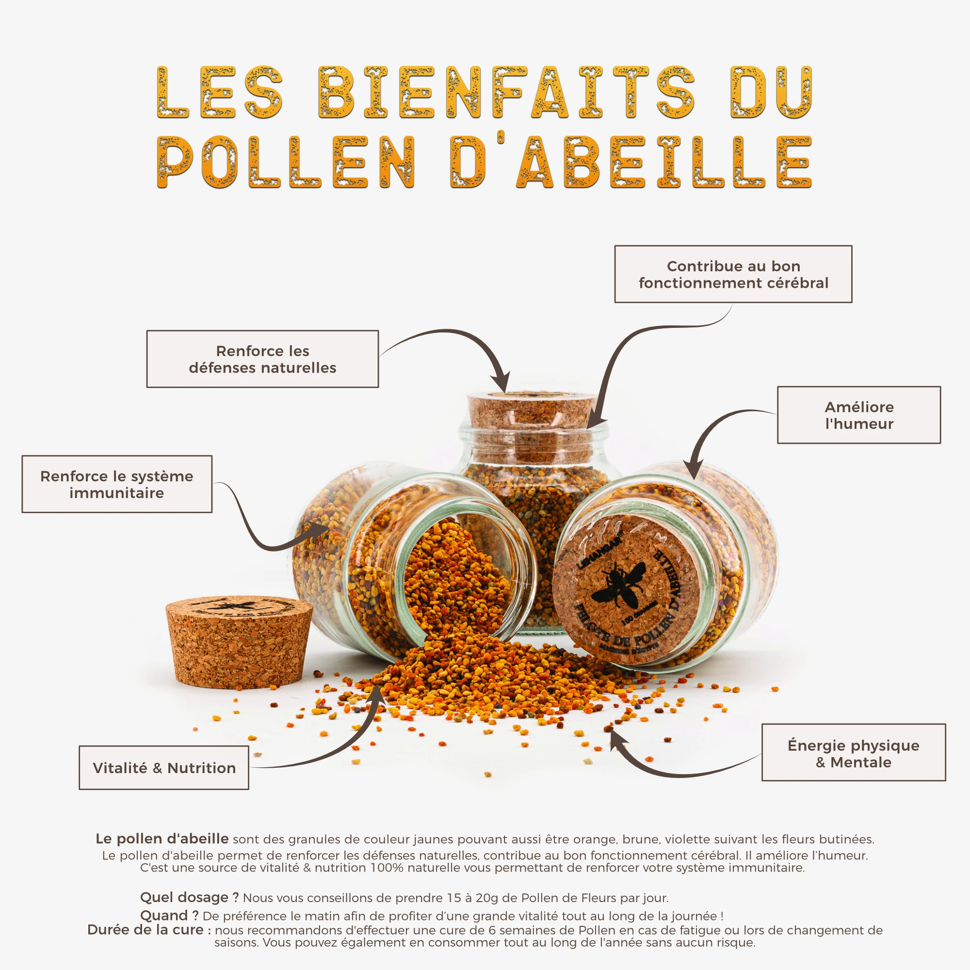 Pollen d’abeille bio LeHangar212® – 100g en promotion